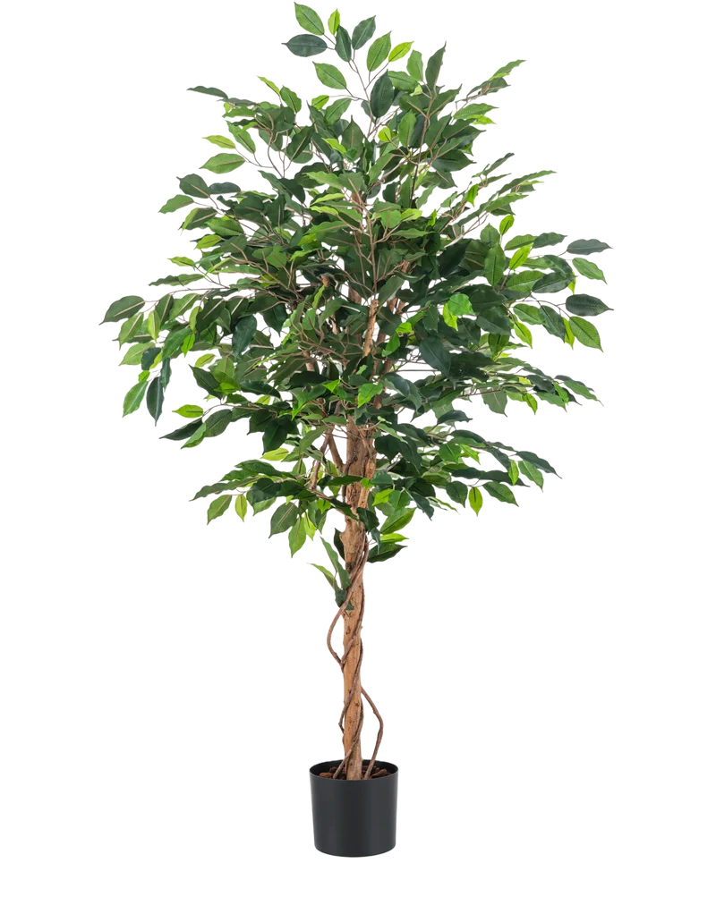 Kunstplant Ficus Groen 150 cm