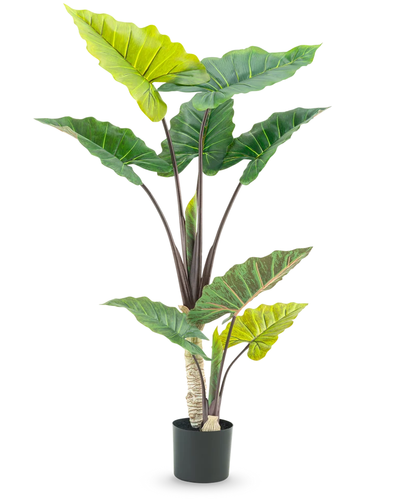 Kunstplant Calocasia 150 cm