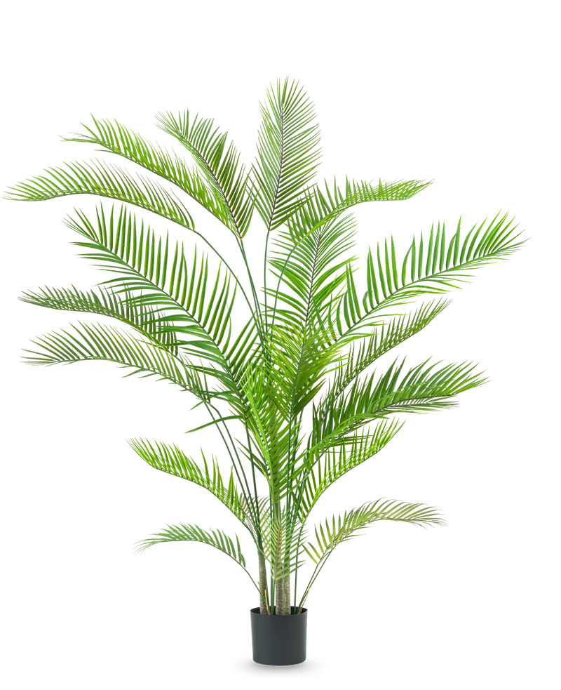 Kunstplant Chamaedorea 180 cm