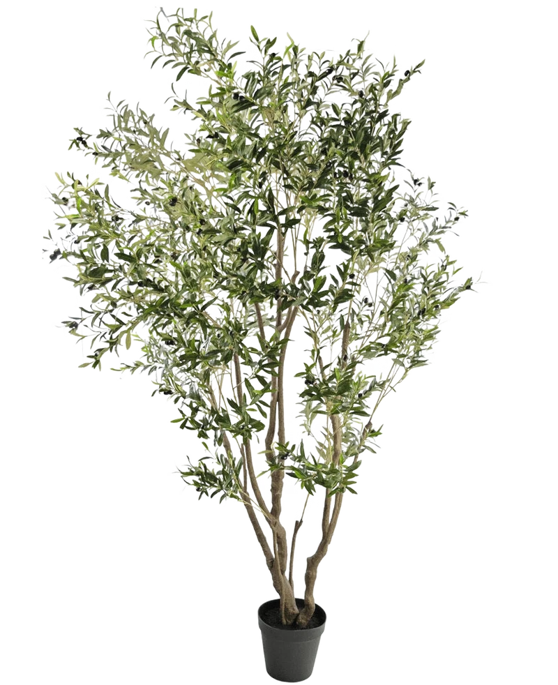 Kunstplant Olijfboom 260 cm
