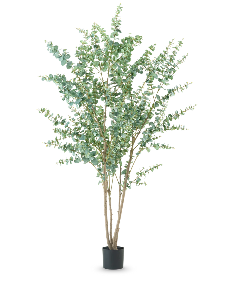 Kunstplant Eucalyptus 240 cm