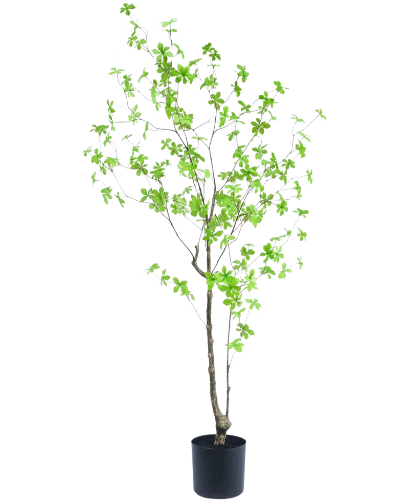 Kunstplant Enkianthus 150 cm