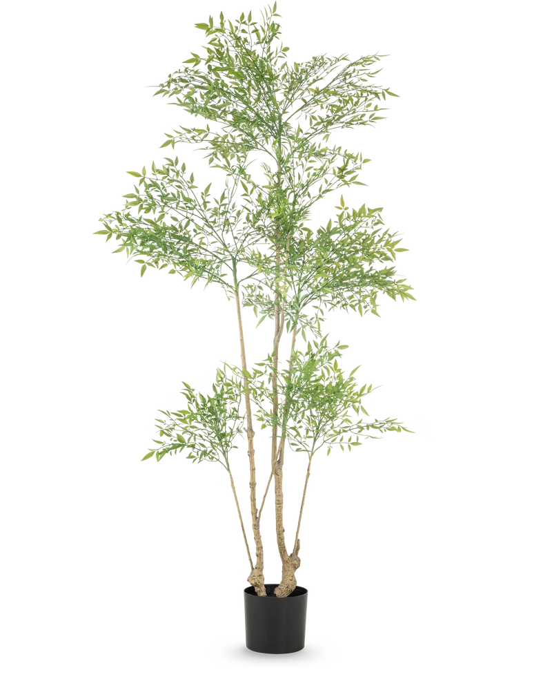 Kunstplant Ruscus 180 cm