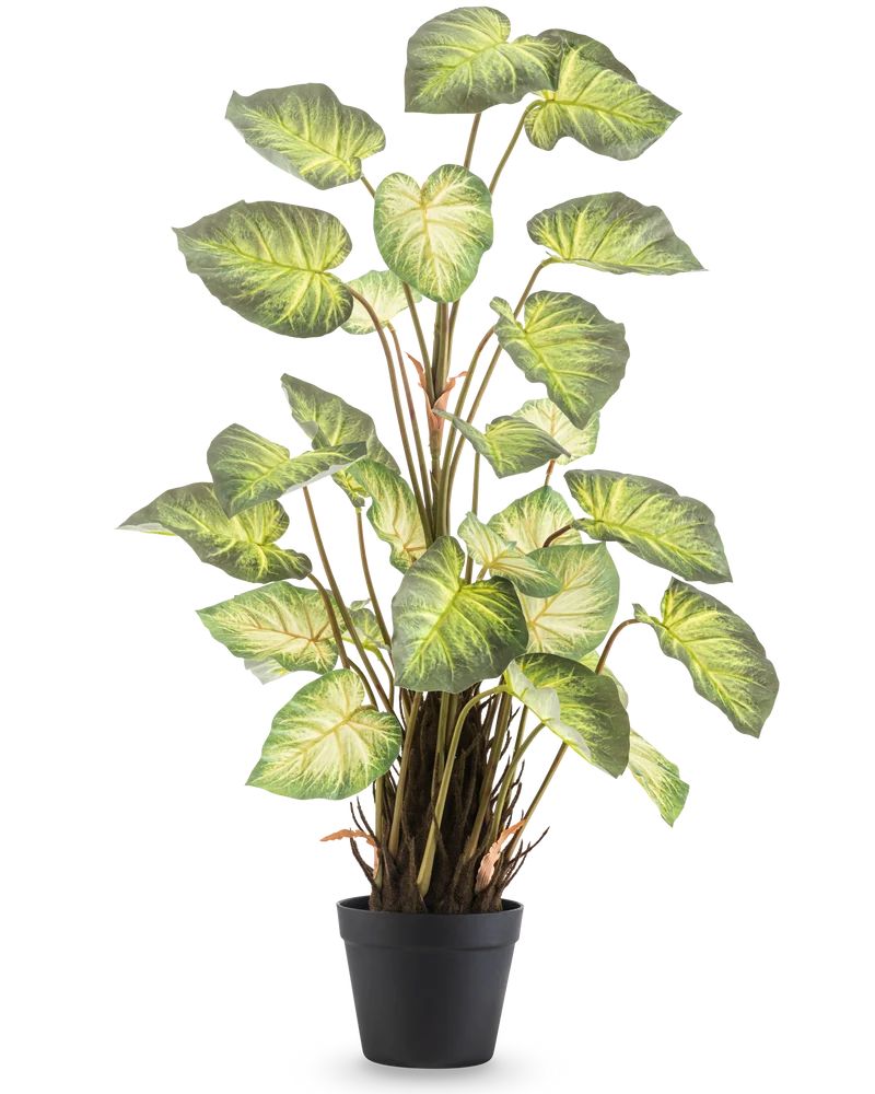Kunstplant Alocasia Odora 90 cm