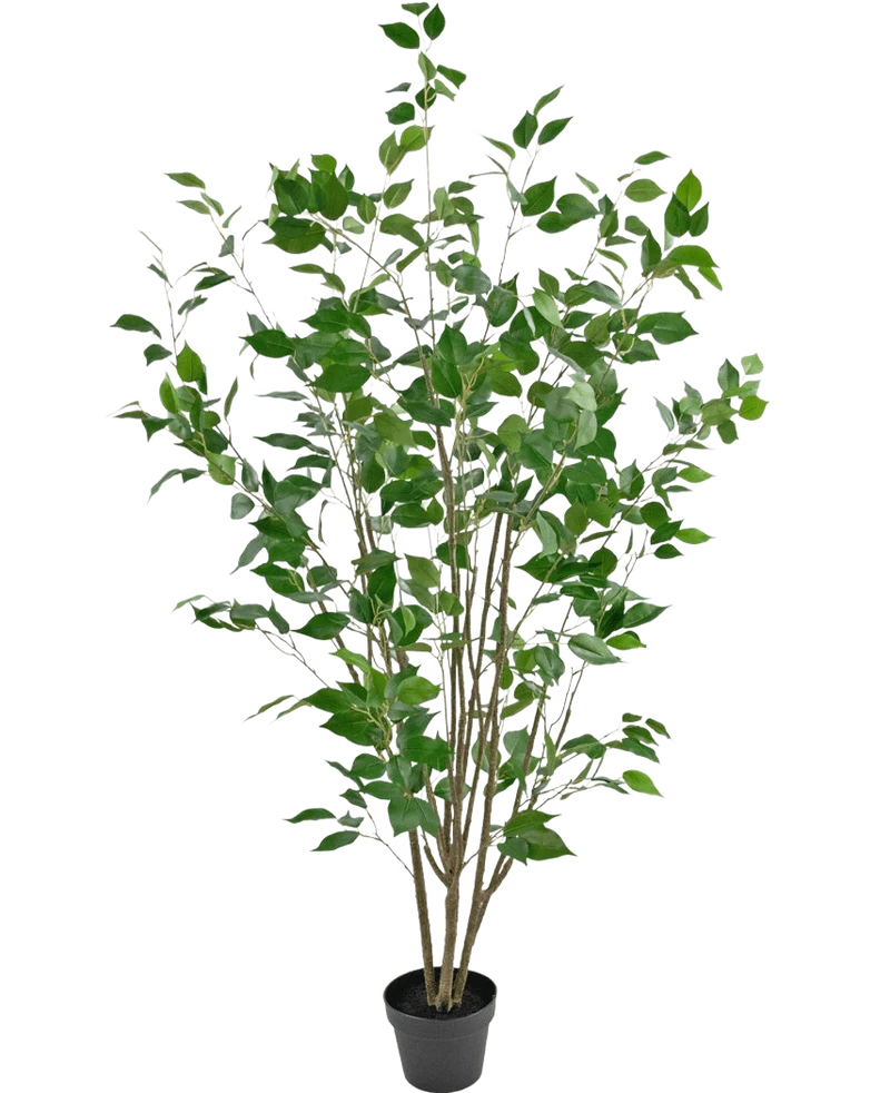 Kunstplant Ficus 150 cm