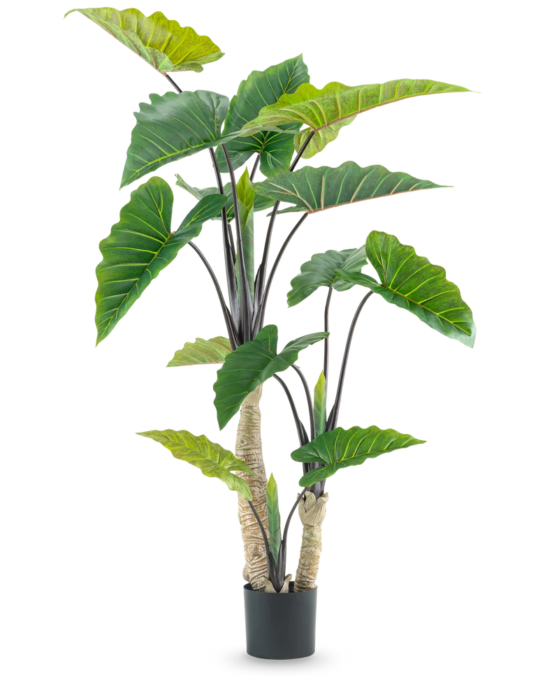 Kunstplant Calocasia 180 cm