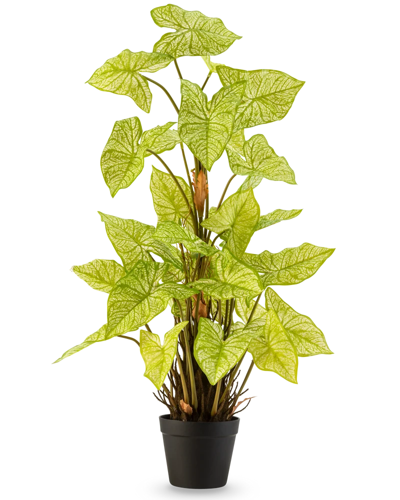 Kunstplant Trapa Bispinosa 90 cm wit