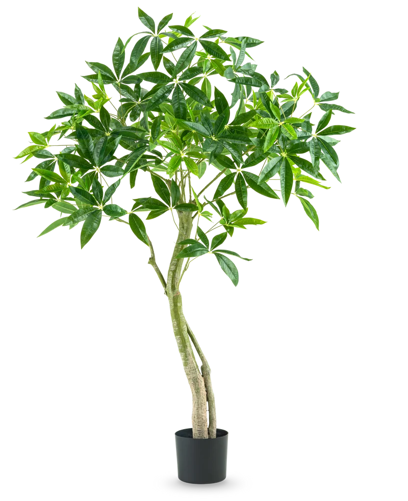Kunstplant Pachira 150 cm