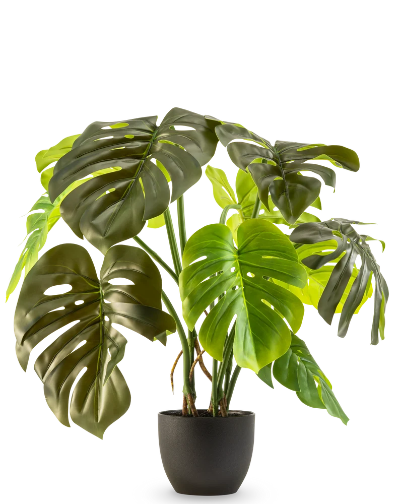 Kunst Monstera 50 cm