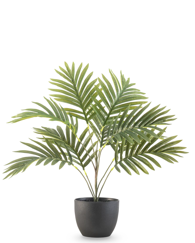 Kunstpalm Phoenix 50 cm in sierpot zwart
