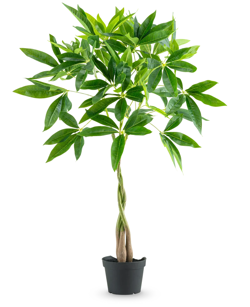 Kunstplant Pachira 90 cm