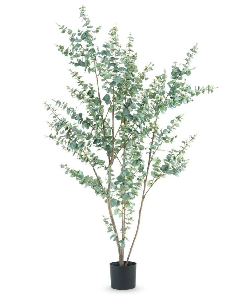 Kunstplant Eucalyptus 210 cm