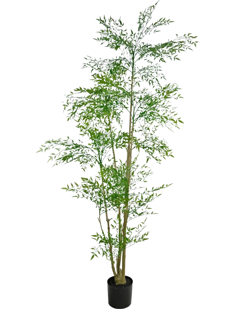 Kunstplant Ruscus 210 cm