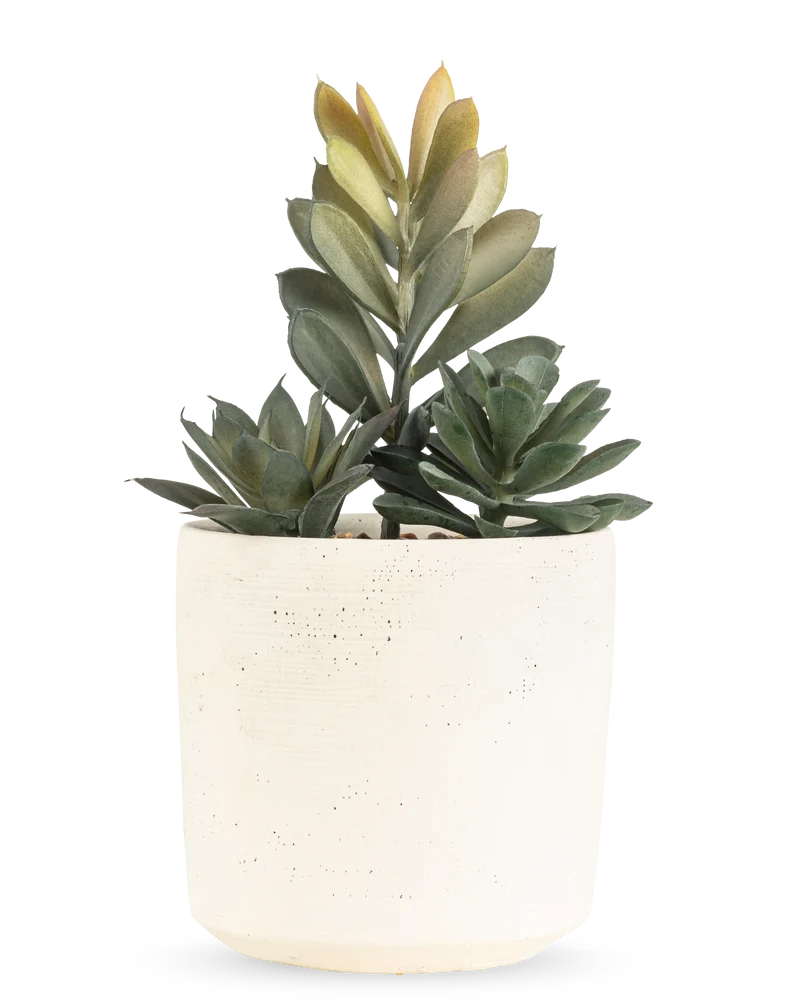 Kunst vetplant 20 cm