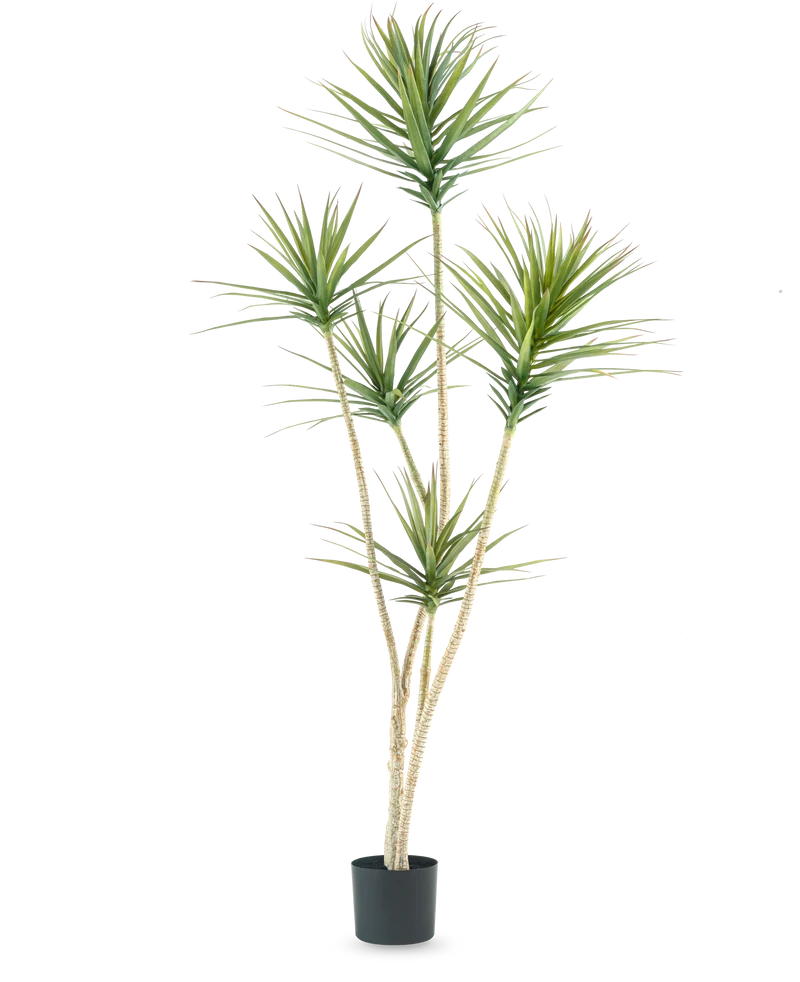 Kunstplant Dracaena Fragnans 180 cm