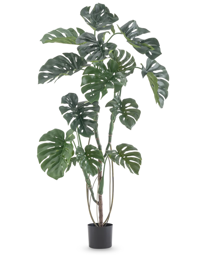 Kunstplant Monstera 150 cm