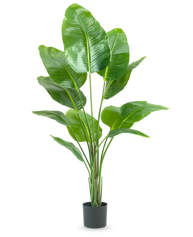 Kunstplant Strelitzia 150 cm real touch2