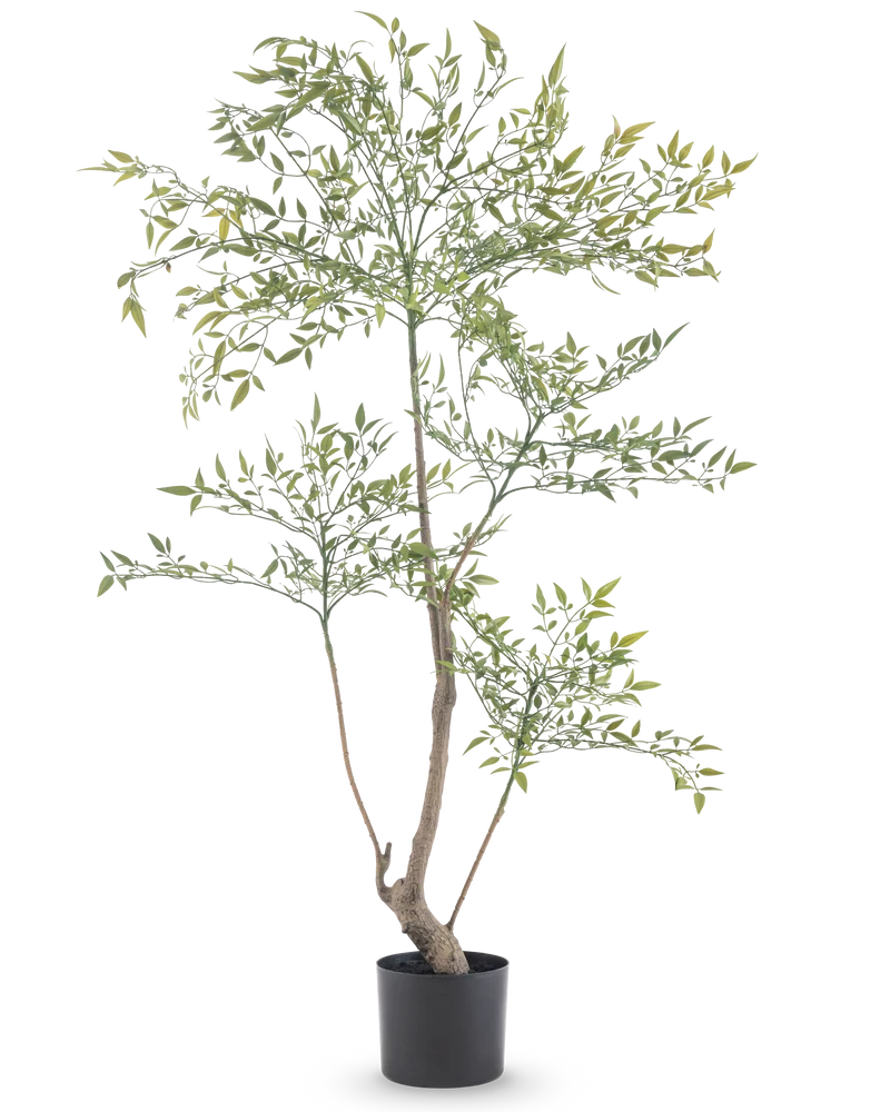 Kunstplant Ruscus 120 cm