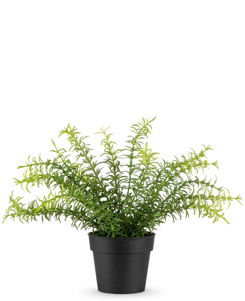 Kunstplant Anthurium 27 cm