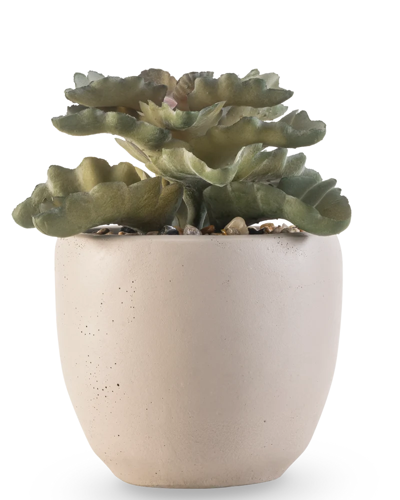 Kunst vetplant 15 cm