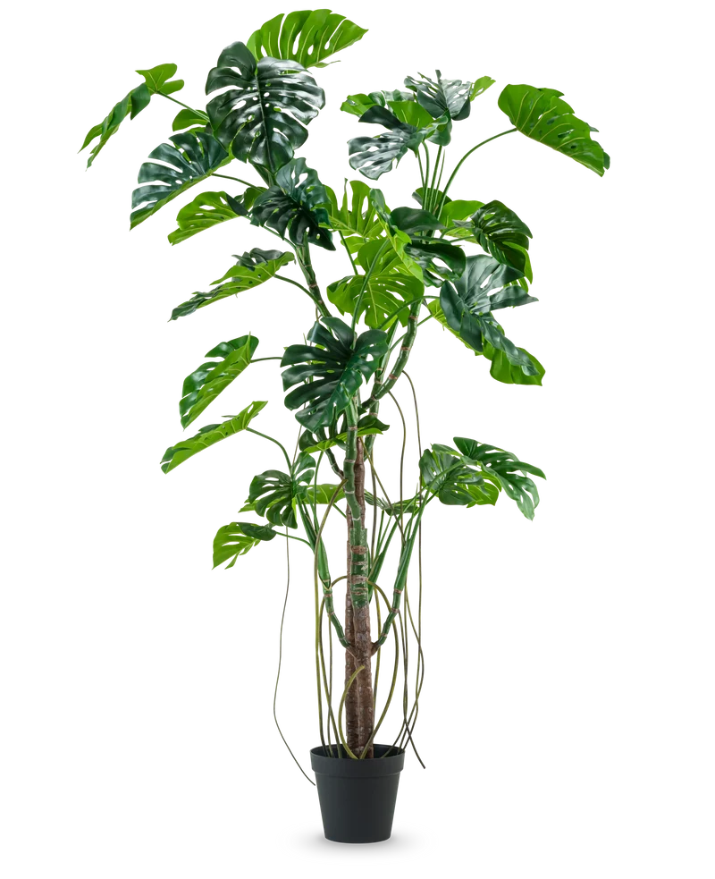 Kunstplant Monstera 240 cm