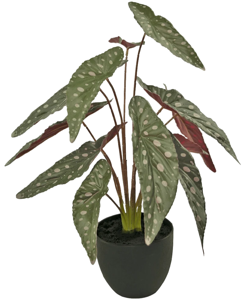 Kunst Begonia 48 cm in sierpot zwart