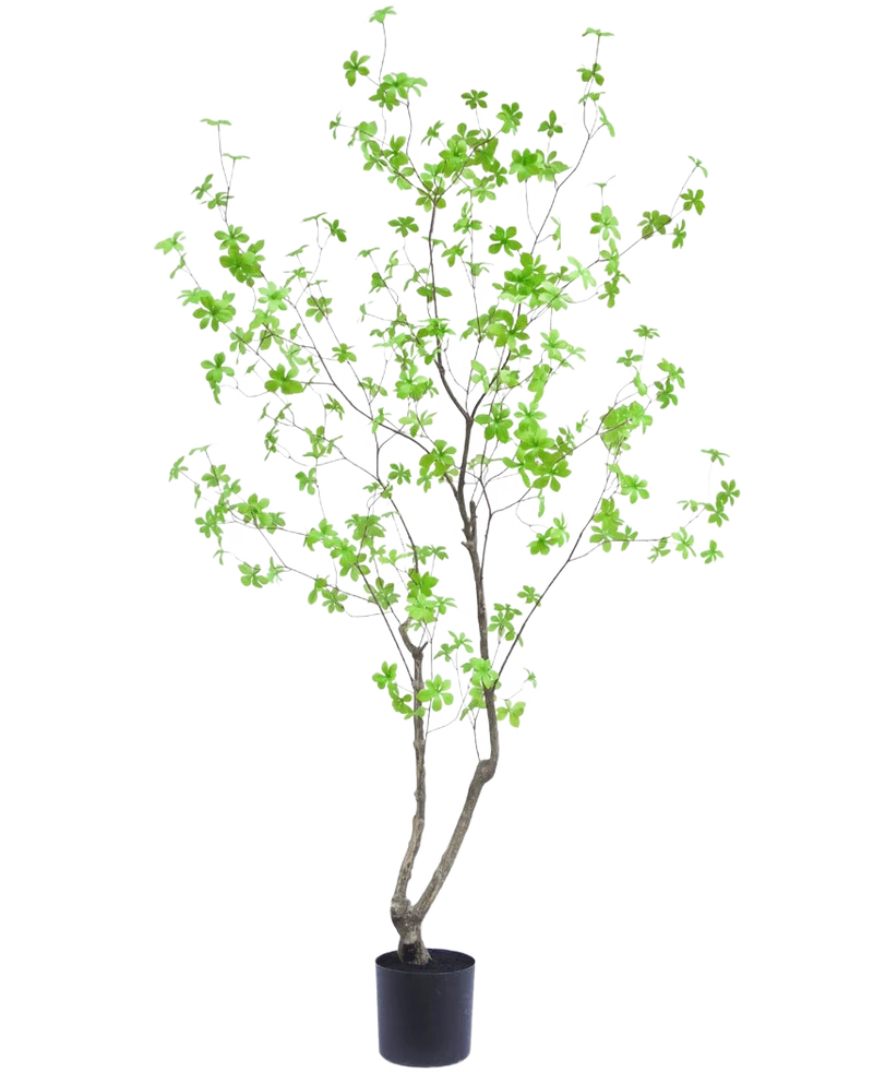 Kunstplant Enkianthus 180 cm