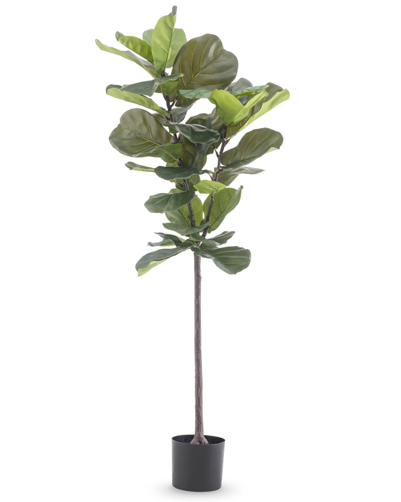 Kunstplant Ficus Tabaksplant Deluxe 155 cm