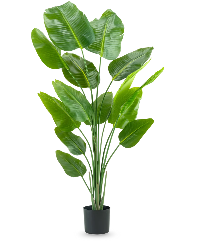 Kunstplant Strelitzia 180 cm real touch