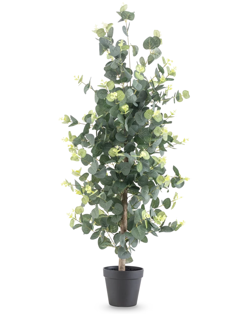 Kunstplant Eucalyptus 91 cm