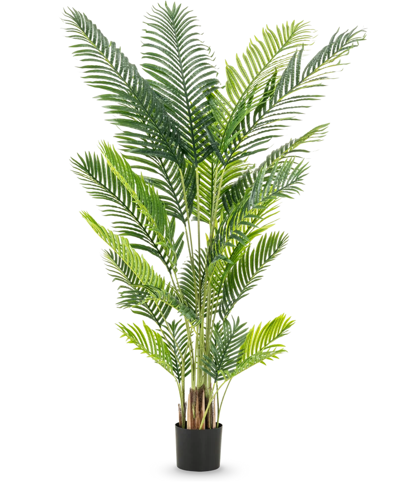Kunstplant Phoenix 200 cm