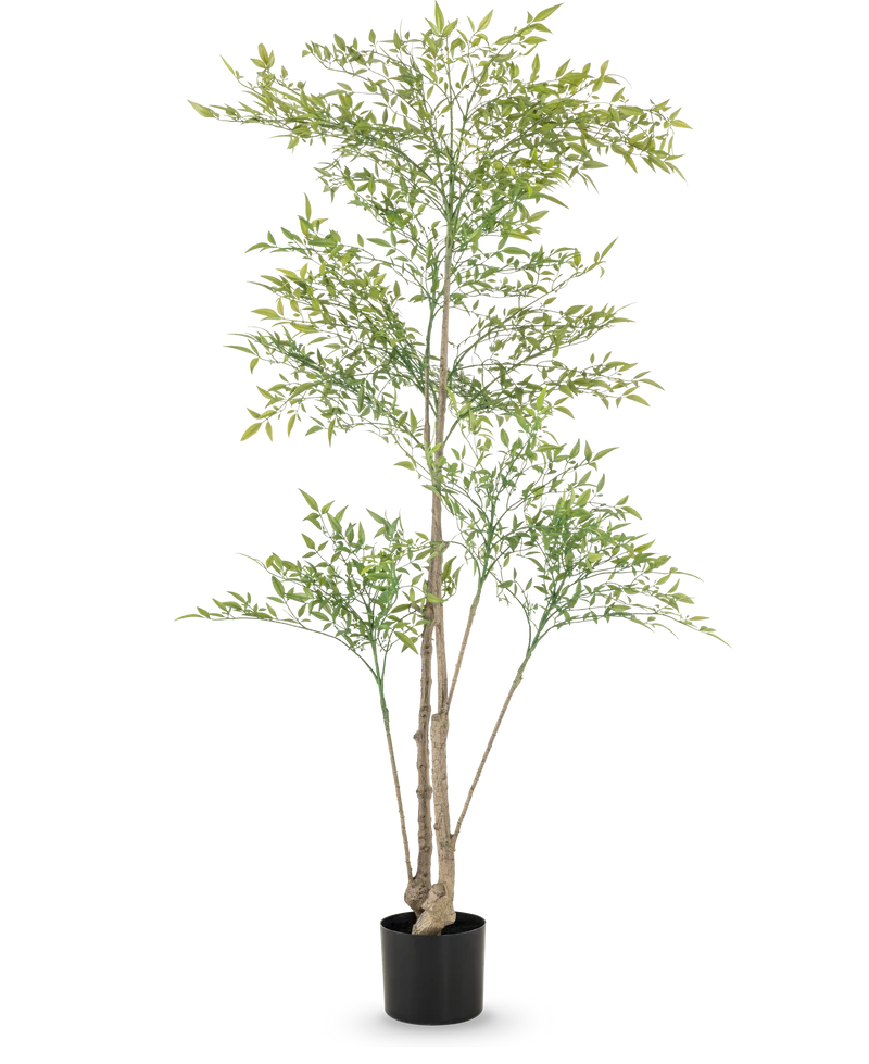 Kunstplant Ruscus 150 cm