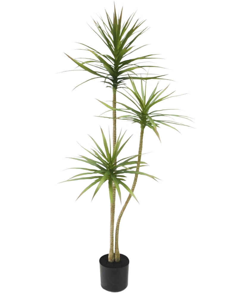 Kunstplant Dracaena Fragnans 150 cm