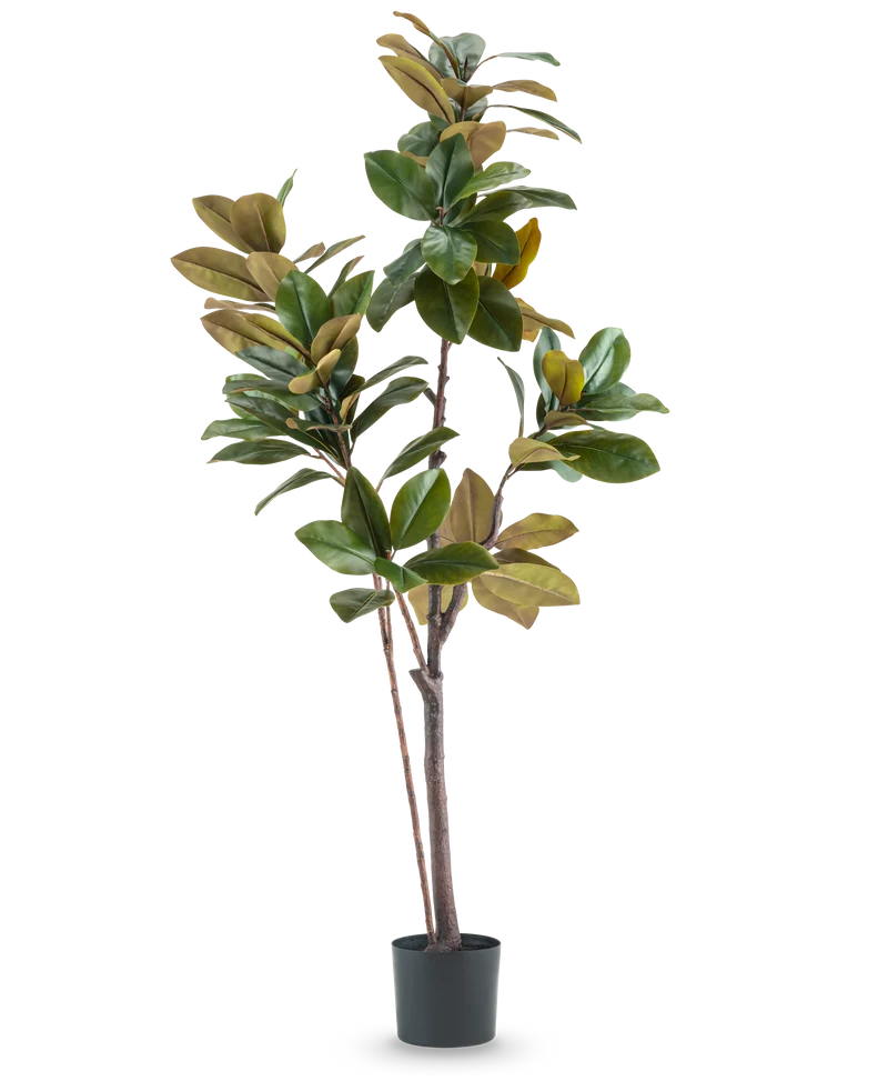 Kunstplant Yulaniaboom 180 cm