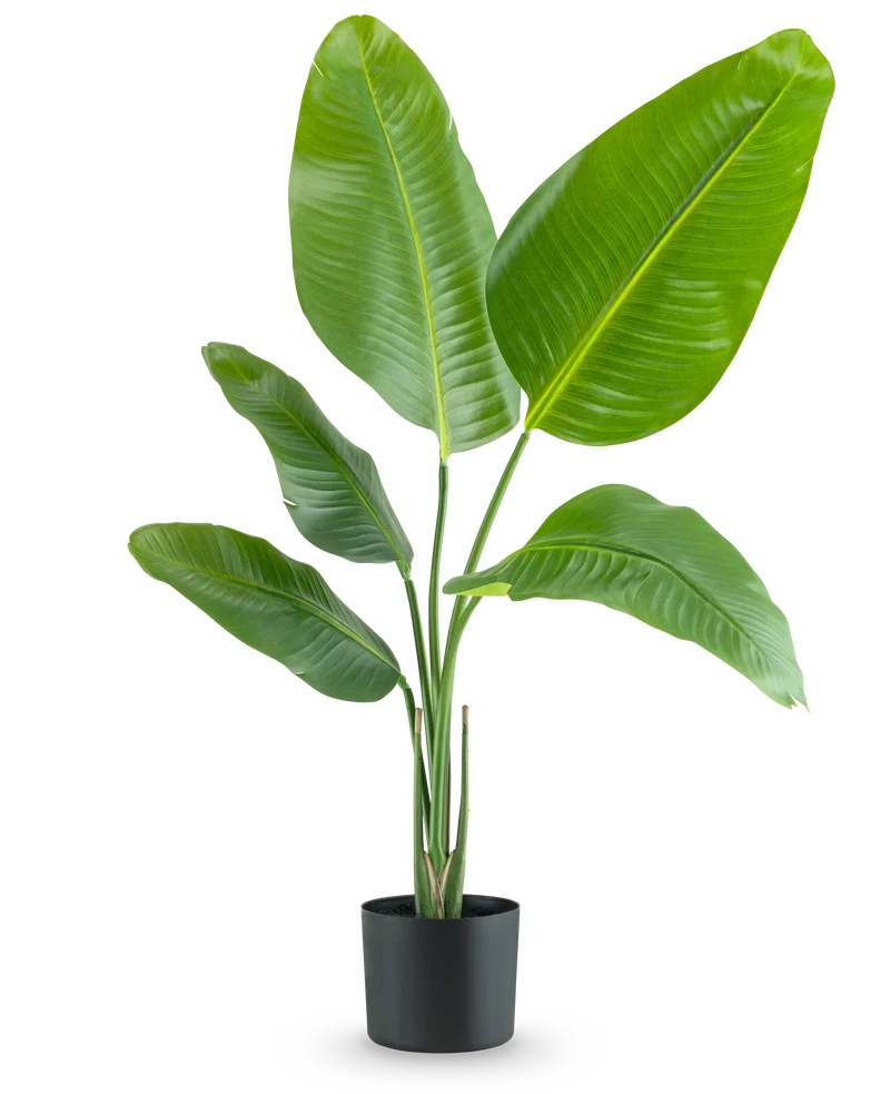 Kunstplant Strelitzia 90 cm real touch