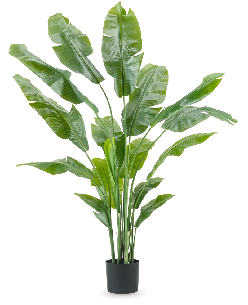 Kunstplant Strelitzia Nicolai Deluxe 180 cm