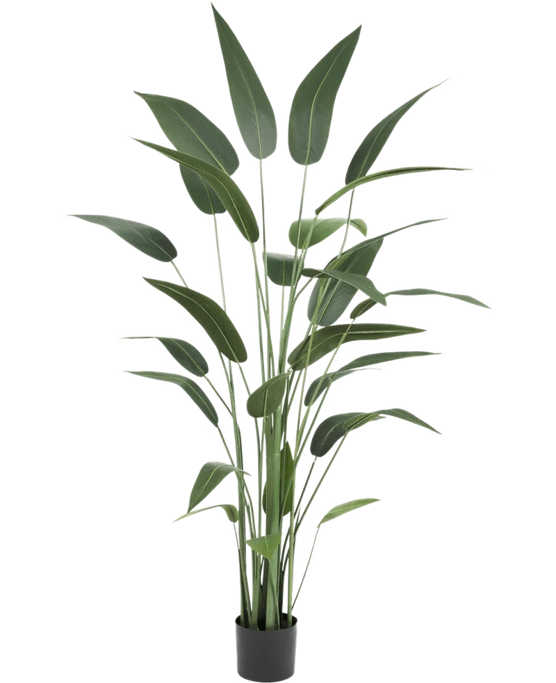 Kunstplant Heliconia 180 cm
