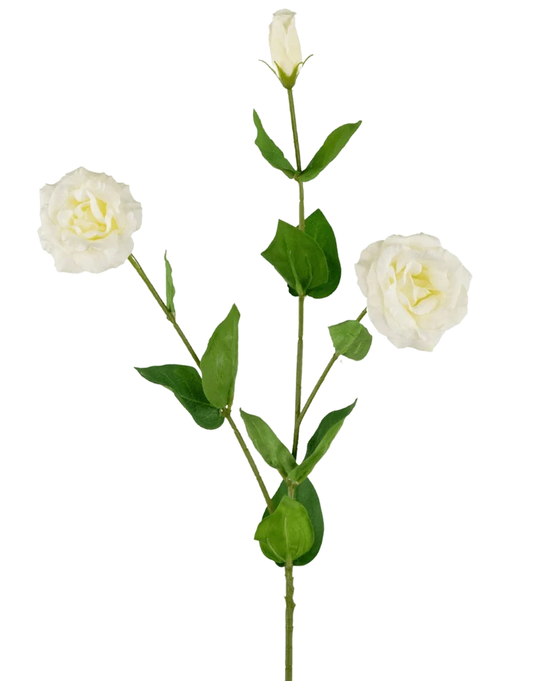 Kunst Eustoma Real Touch Wit 72cm