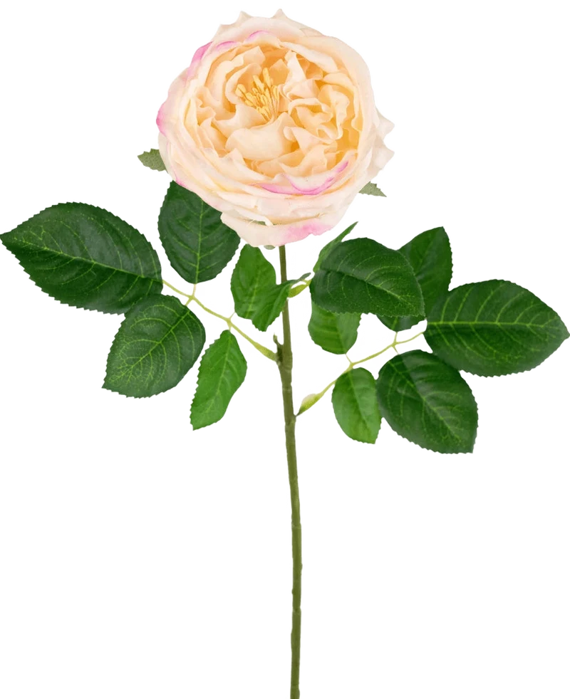 Kunsttuinroos "Anniken" Real Touch perzik 72cm