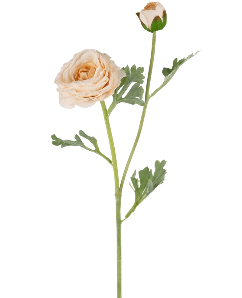 Kunstranonkel Real Touch Crème 60cm