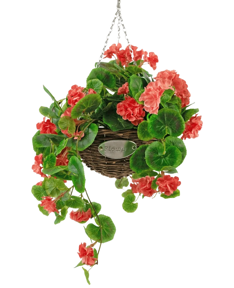 Kunstbegonia roze in mand UV 70cm
