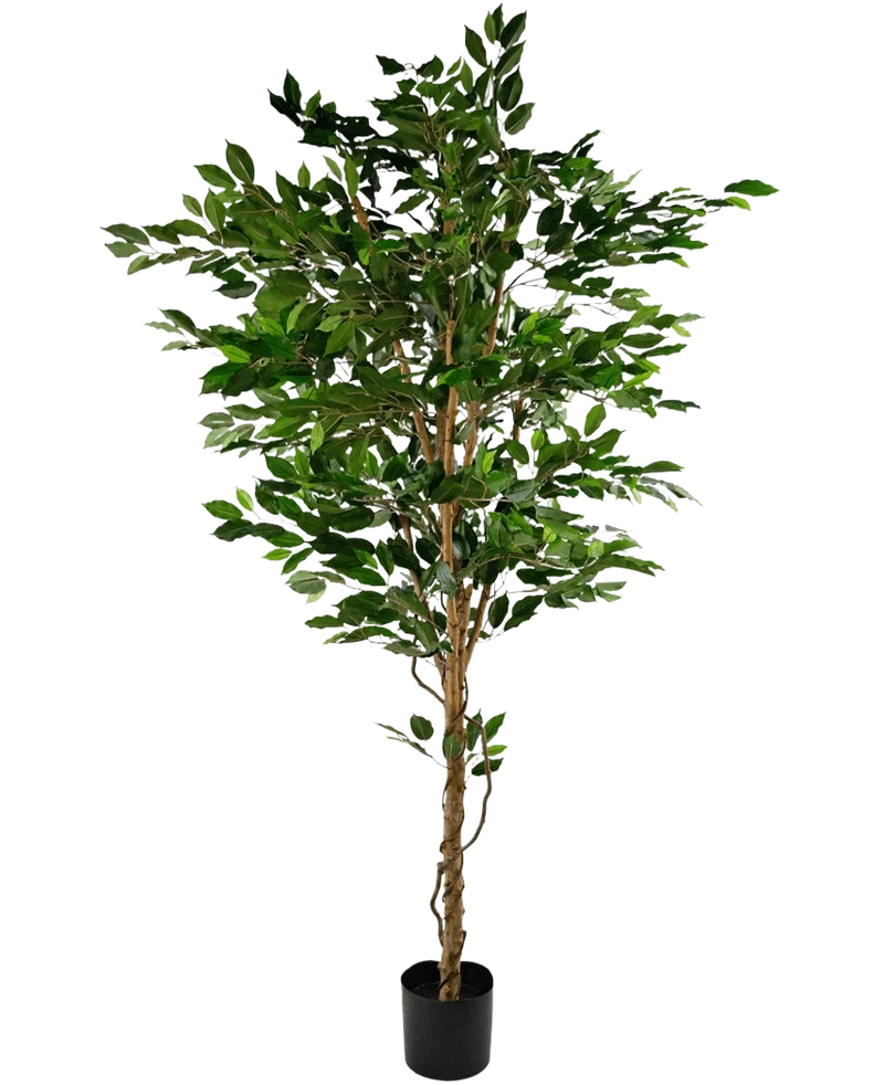 Kunstplant Ficus Groen 210 cm
