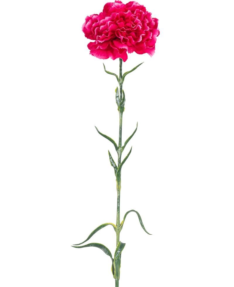 Kunstbloem Anjer 69 cm hardroze