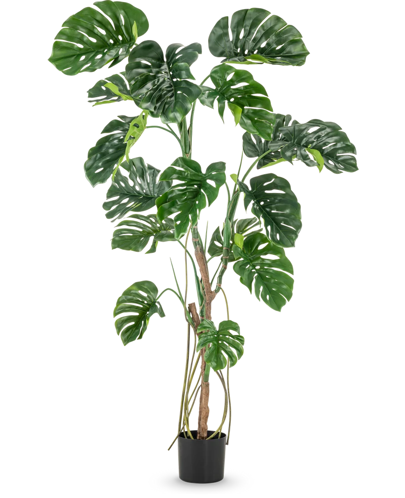Kunstplant Monstera 180 cm