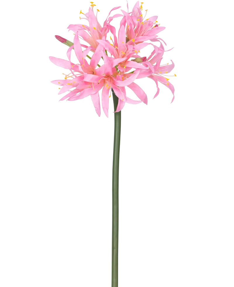 Kunstbloem Nerine 70 cm roze