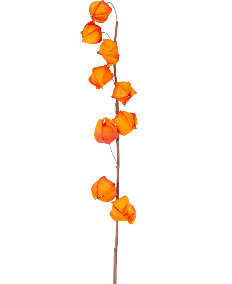 Kunstbloem Physalis Lampion 90 cm oranje