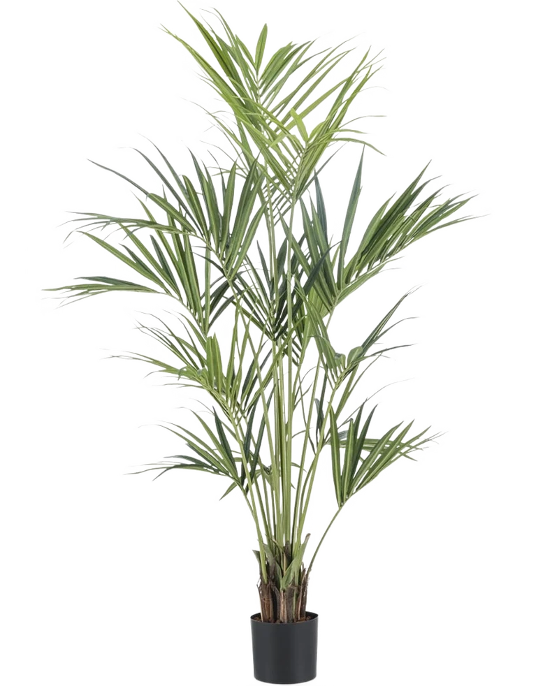 Kunstplant Kentia Palm 180 cm