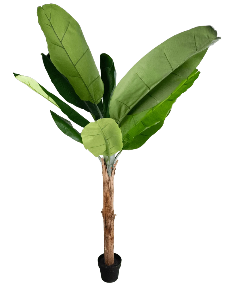 Kunstplant Bananenboom 180 cm
