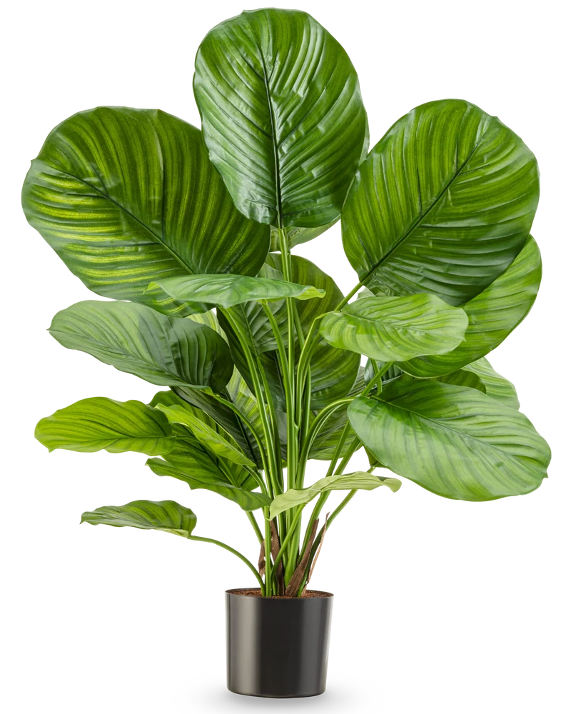 Kunstplant Calathea UV 72 cm