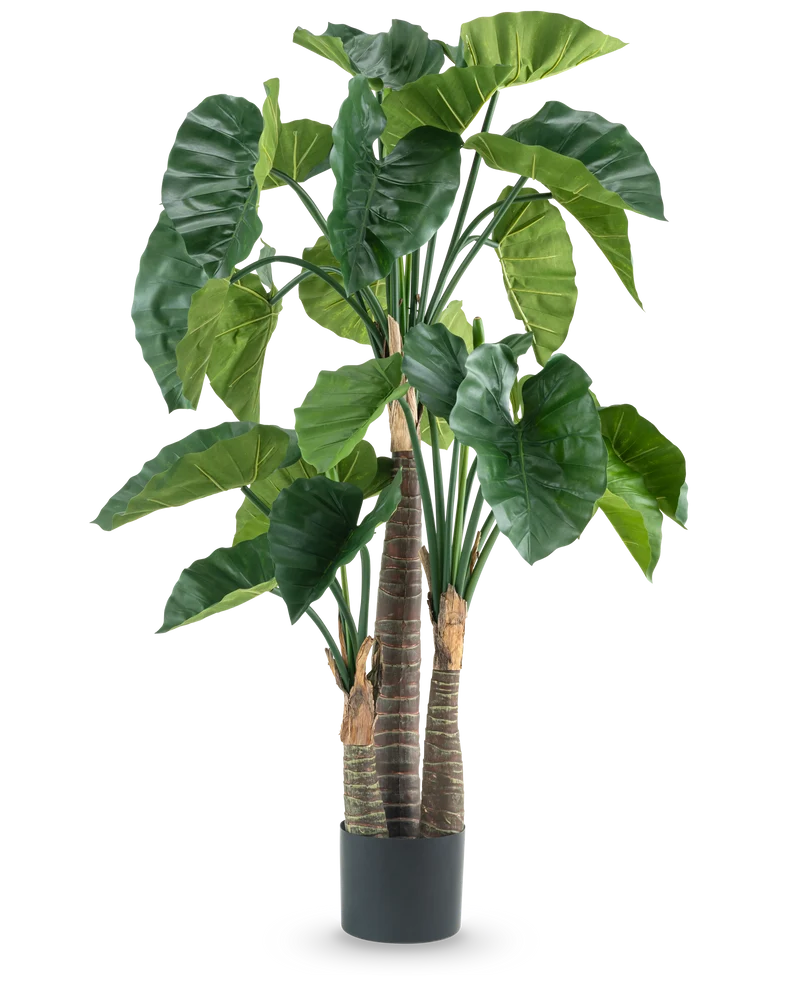 Kunstplant Alocasia 150 cm